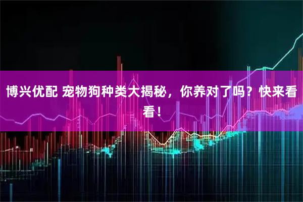 博兴优配 宠物狗种类大揭秘,你养对了吗?快来看看!