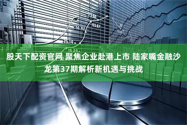 股天下配资官网 聚焦企业赴港上市 陆家嘴金融沙龙第37期解析新机遇与挑战