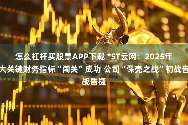 怎么杠杆买股票APP下载 *ST云网：2025年两大关键财务指标“闯关”成功 公司“保壳之战”初战告捷